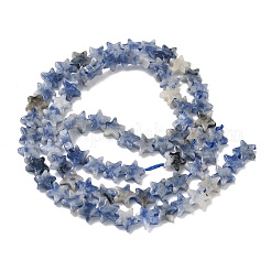 Natural Blue Spot Jasper Beads Strands&nbsp;G-F817-A12-01