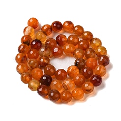 Dyed & Heated Natural Agate Beads Strands&nbsp;G-P539-D01-07