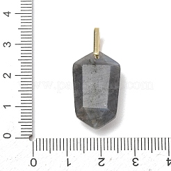 Natural Labradorite Pendants&nbsp;GG-CBA5FCC-01G-07