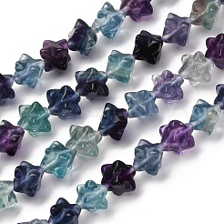 Natural Fluorite Beads Strands&nbsp;G-NH0063-01