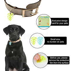 Transparent Blank Acrylic Pet Dog ID Tag&nbsp;PALLOY-AB00042