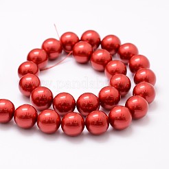 Shell Pearl Bead Strands&nbsp;BSHE-L026-08-12mm