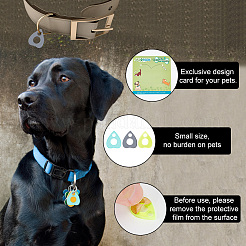42Pcs 3 Colors Transparent Blank Acrylic Pet Dog ID Tag&nbsp;PALLOY-AB00046