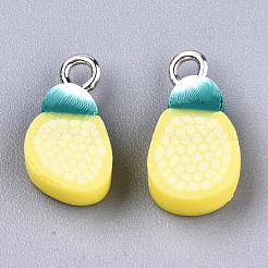 Handmade Polymer Clay Charms&nbsp;CLAY-T016-60