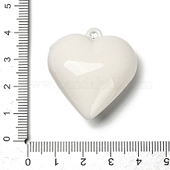 Acrylic Pendants&nbsp;OACR-S049-02A