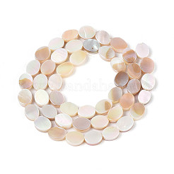 Electroplated Natural Freshwater Shell Beads Strands&nbsp;SHEL-N038-27