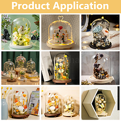Glass Dome Cover&nbsp;DIY-WH0504-317A