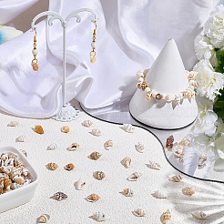 165g Natural Shell Pendants&nbsp;SHEL-PA0001-05