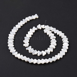Natural Trochus Shell Beads Strands&nbsp;SSHEL-H070-05