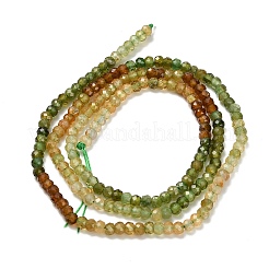 Gradient Color Natural Green Tourmaline Beads Strands&nbsp;G-Z106-H02-02