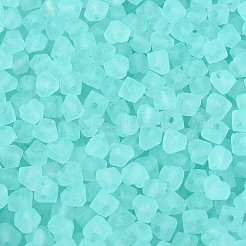 FGB Frosted Transparent Glass Seed Beads&nbsp;SEED-N013-03A-10