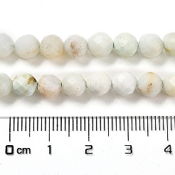 Natural Green Opal Beads Strands&nbsp;G-Z035-A02-04A