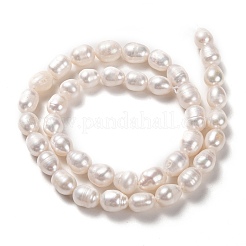 Natural Cultured Freshwater Pearl Beads Strands&nbsp;PEAR-L033-77-01