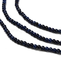 Dyed Natural Lapis Lazuli Beads Strands&nbsp;G-H317-A01
