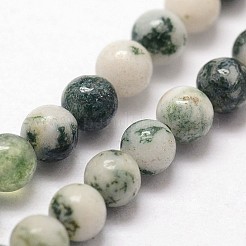 Natural Tree Agate Beads Strands&nbsp;G-N0192-01-2mm