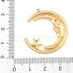 304 Stainless Steel Pendants&nbsp;STAS-H248-02G
