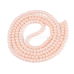 Baking Paint Glass Pearl Beads Strands&nbsp;DGLA-ZX001-05B-02
