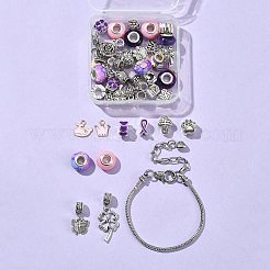 DIY European Charm Bracelets Jewelry Kit&nbsp;DIY-FS0005-64