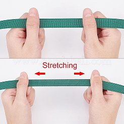 Polyester Resistance Elastic Cord&nbsp;EW-WH0003-03F
