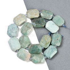 Natural Amazonite Beads Strands&nbsp;G-B125-P02-01