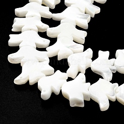 Natural Trochid Shell/Trochus Shell Beads Strands&nbsp;SSHEL-R145-04