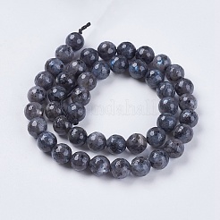 Natural Larvikite Beads Strands&nbsp;LS-G-G542-8mm-27