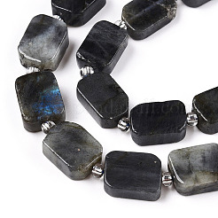 Natural Larvikite Beads Strands&nbsp;G-T138-04