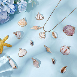 24Pcs 12 Styles Electroplated Natural Shell Pendants&nbsp;SSHEL-ME0001-06