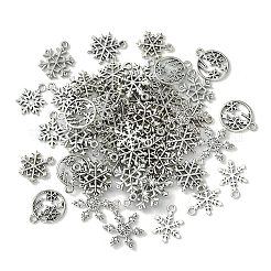60Pcs 10 Styles Tibetan Style Alloy Pendants&nbsp;FIND-FS0002-21