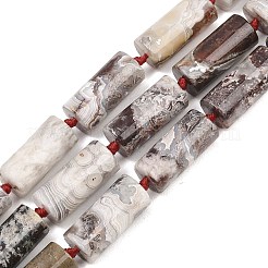 Natural Mexican Crazy Lace Agate Beads Strands&nbsp;G-B196-B01-01