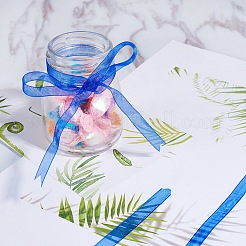 Organza Ribbon&nbsp;RS6mmY040