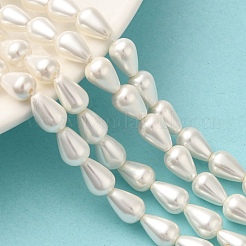 Electroplate Shell Pearl Beads Strands&nbsp;BSHE-G010-6x9mm-01A