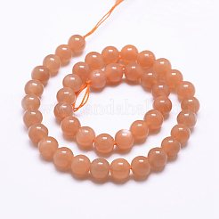 Natural Sunstone Beads Strands&nbsp;G-J363-10-8mm