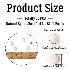 Natural Spiral Shell Red Lip Shell Beads&nbsp;BSHE-TA0002-02