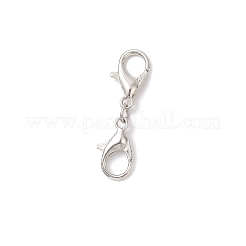 Zinc Alloy Lobster Claw Clasps&nbsp;PALLOY-JF04249-02