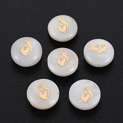 Natural Freshwater Shell Beads&nbsp;SHEL-S278-065