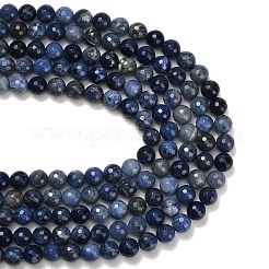 Natural Sodalite Beads Strands&nbsp;G-C280-B02-10mm