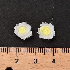 Luminous Resin Decoden Cabochons&nbsp;RESI-K036-06E