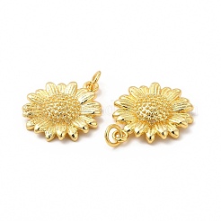 Brass Pendants&nbsp;KK-I699-19G