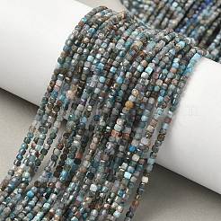 Natural Apatite Beads Strands&nbsp;LS-G-RM241221-K24