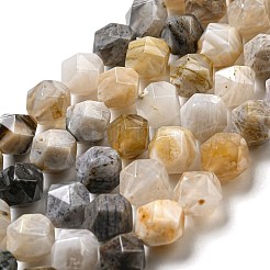 Natural Bamboo Leaf Agate Beads Strands&nbsp;G-NH0012-B02-03