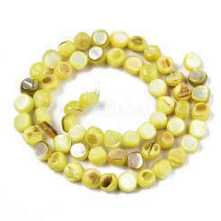 Natural Freshwater Shell Beads Strands&nbsp;SHEL-S276-110A-M