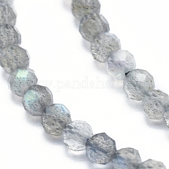 Natural Labradorite Beads Strands&nbsp;G-D0003-E86-4MM