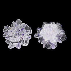 Transparent Resin Cabochons&nbsp;RESI-E049-02B