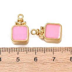 304 Stainless Steel Pendants&nbsp;STAS-D263-13B-G