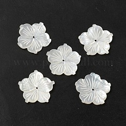 Natural White Shell Beads&nbsp;SHEL-M021-08C