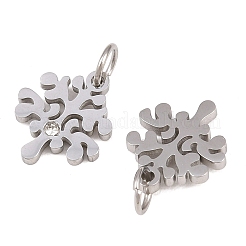 Eco-Friendly 316 Surgical Stainless Steel Micro Pave Cubic Zirconia Charms&nbsp;RB-I078-76P-NR