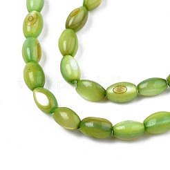 Freshwater Shell Beads Strands&nbsp;SHEL-T009-B15-04