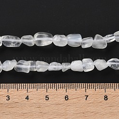 Natural Rainbow Moonstone Beads Strands&nbsp;G-P497-01C-62