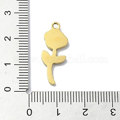 Ion Plating(IP) 304 Stainless Steel Pendants&nbsp;STAS-B058-17G-05